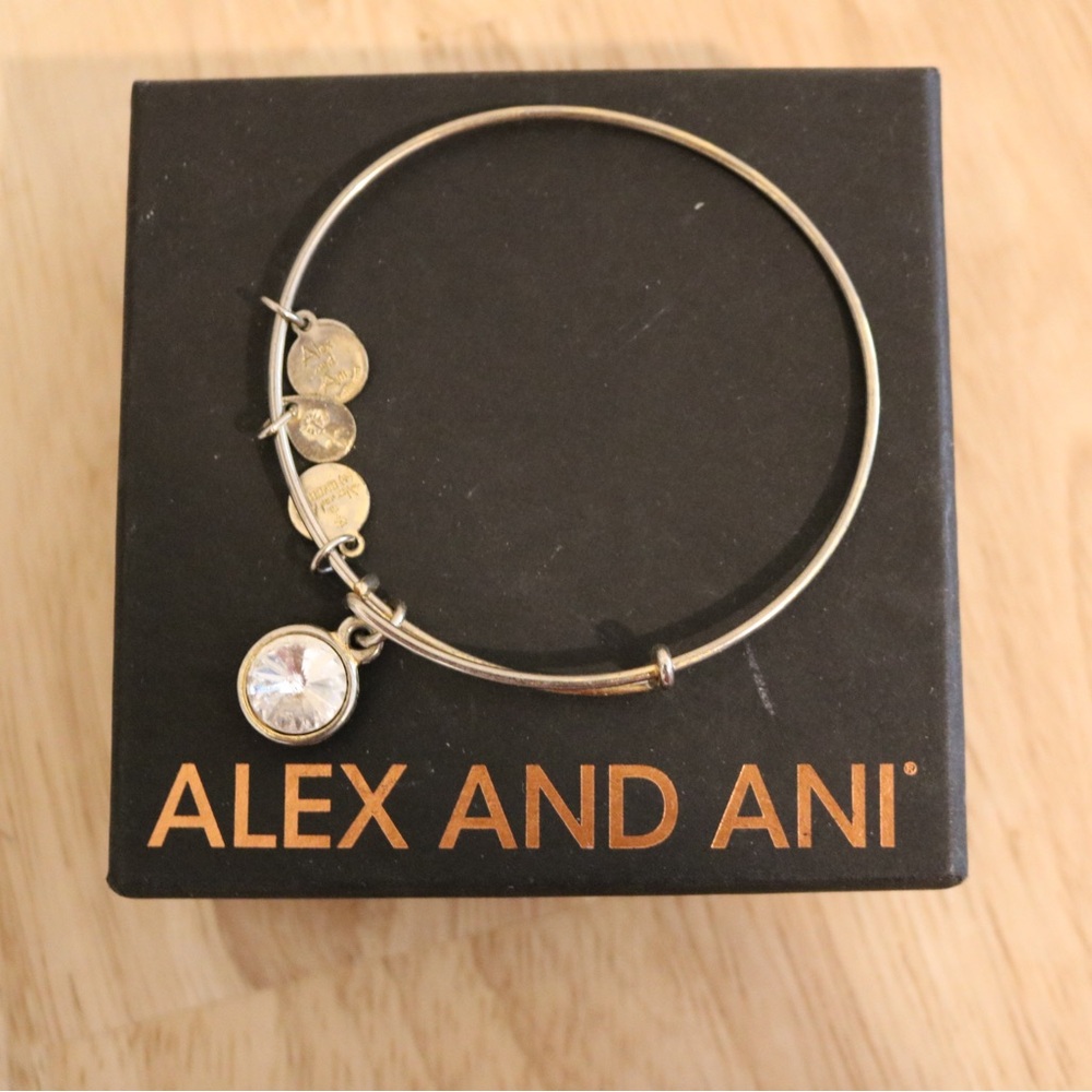 Alex and Ani Silver Bangle Bracelet with Crystal Charm